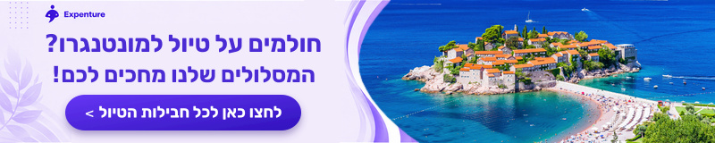 אקספנצ
